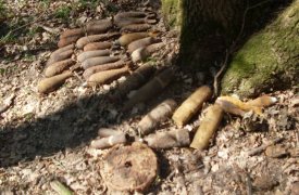 Тульские спасатели обезвредили 14 боеприпасов времен войны