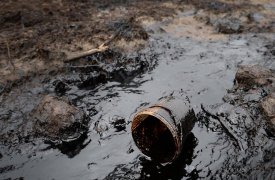 В Богородицке метсные жители спасали животных из разлива мазута