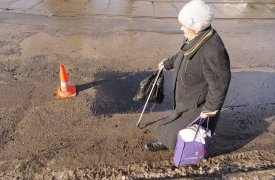 К радости туляков у поселковой дороги в Струково появился официальный хозяин