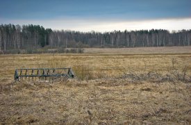 Тульские депутаты упростили процедуру возвращения в оборот заброшенных земель
