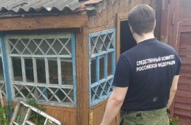 21,5 года проведет в колонии особого режима липчанин, убивший 93-летнюю женщину в Богородицке