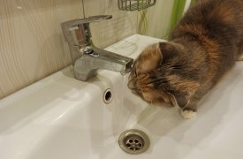 В Туле проверили качество водопроводной воды во всех районах города