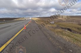В Богородицком районе мужчина уснул за рулеми вылетел в кювет: пострадали женщина и 7-летняя девочка