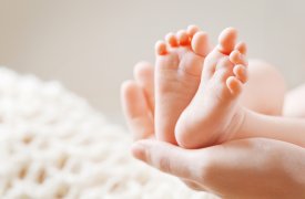 В октябре в Тульской области родились Добрыня, Оливия и Мигель