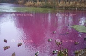 Средний пруд в Ясной Поляне снова окрасился в пурпурный