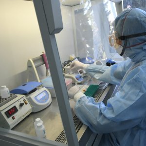 За сутки в Тульской области 267 человек заболели коронавирусом, 15 умерли