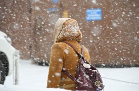 Синоптики: в субботу, 20 ноября, Тульскую область накроет мокрым снегопадом