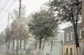 В Тулу 19 ноября придут снегопад и гололед: ГИБДД призывает автомобилистов к осторожности