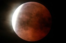 Утром 19 ноября на небо взошла «кровавая луна» - самое длительное лунное затмение за 580 лет