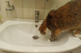 Три улицы Тулы останутся без холодной воды 23  ноября из-за плановых работ