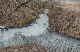 В Тульской области сточными водами загрязняют реку Бобрик, впадающую в Дон