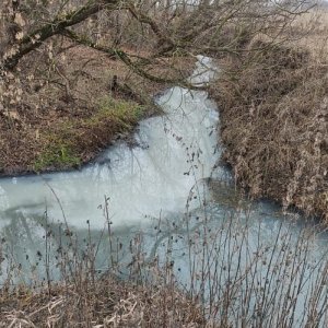В Тульской области сточными водами загрязняют реку Бобрик, впадающую в Дон