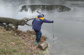 На водоемах Тульской области толщина льда составляет меньше 5 см