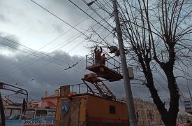 В Туле на Октябрьской образовалась пробка из-за упавшей на провода ветви дерева