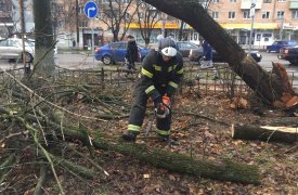 В Тульской области спасатели приступили к ликвидации последствий непогоды