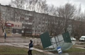 Первые последствия ветра в Новомосковске: перевернутая остановка и дерево на автомобиле