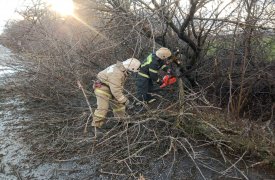 Оперштаб МЧС в Тульской области продолжает ликвидацию последствий штормового ветра