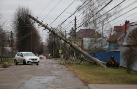 Из-за циклона «Бенедикт» в Тульской области больше 100 населенных пунктов остались без электричества