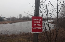 В Новомосковске 75-летний мужчина провалился под лед местного пруда