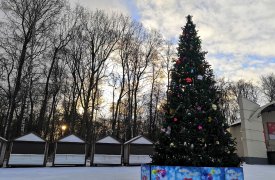 Вместо «Зимы по-тульски» в городских парках наступает «Зимний сезон»