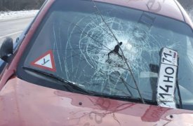 В Суворовском районе нетрезвый молодой человек устроил ДТП и отказался от проверки на опьянение