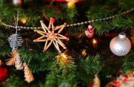 28-летний туляк украл новогоднюю елку из подъезда собственного дома