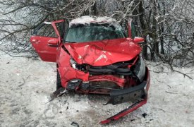 В Белевском районе Lada съехала в кювет и врезалась в дерево: пострадали три человека