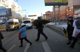 С 20 декабря в Туле открываются елочные базары на 32 площадках