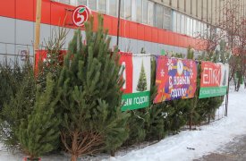 20 декабря в Туле открылись елочные базары: их расположение можно увидеть на интерактивной карте