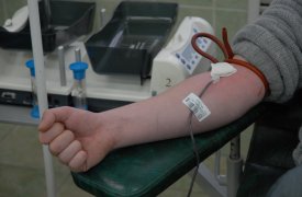 В Тульской области за год стало на 15% больше доноров крови