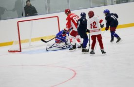 В Щекино на новой Ледовой арене прошел гала-матч звезд российского хоккея против юных хоккеистов Тульской области