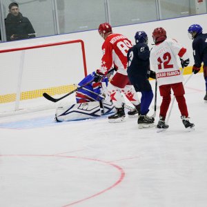 В Щекино на новой Ледовой арене прошел гала-матч звезд российского хоккея против юных хоккеистов Тульской области