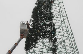 20 января в Туле начали разбирать главную елку города