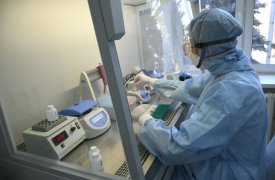 В Тульской области пик заболеваемости омикрон-штаммом коронавируса ожидают в конце января