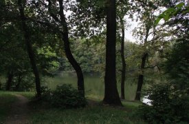 Участок почти в 10 га рядом с поселком Заокский станет частью лесопаркового зеленого пояса
