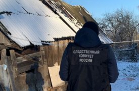 Житель Чернского района из пьяной ревности забил сожительницу черенком лопаты и спрятал тело за сараем соседа
