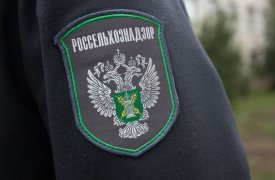 В Ясногорском районе нашли незаконно выкопанный котлован глубиной в 6 метров