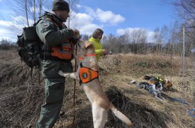 За январь в Тульской области были объявлены в розыск 39 пропавших
