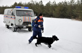 В Туле всю ночь искали трех лыжников, которые заблудились в лесу и сами вышли обратно к дому