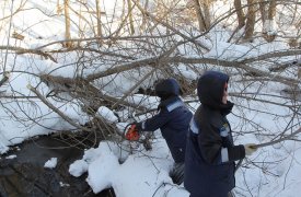 В Туле сотрудники МЧС начали расчистку русла реки Тростянки в Зареченском округе