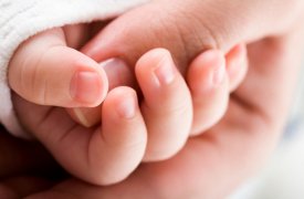В феврале в Тульской области родились Савва, Емельян и Мишель