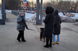 Тулякам в рамках рейдов разъяснили, как следует выгуливать собак