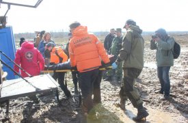 В Тульской области за март пропали без вести 28 человек, 25 из них нашли живыми