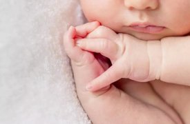 В марте в Тульской области родились Венера, Оливия, Соломон и Золотой