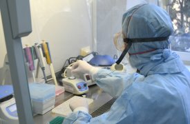 129 человек за минувшие сутки заболели COVID-19 в Тульской области по данным на 10 апреля