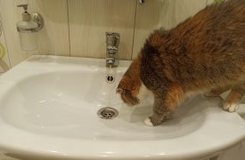 Поселок Барсуки в Туле останется без холодной воды 13 апреля