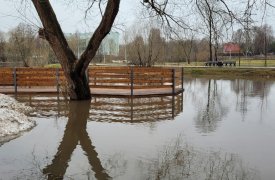 В Туле паводок затопил Баташевский сад и кафе на Пролетарской набережной