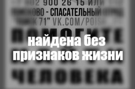 Пропавшую девять дней назад 49-летнюю жительницу Ефремова нашли мертвой