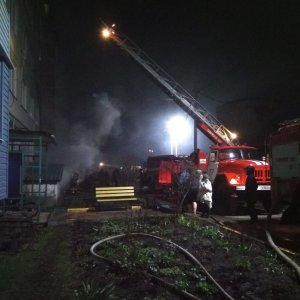 В Донском из горящего дома спасли 6 детей