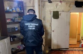 В Тепло-Огаревском районе Тульской области задержан подозреваемый в убийстве